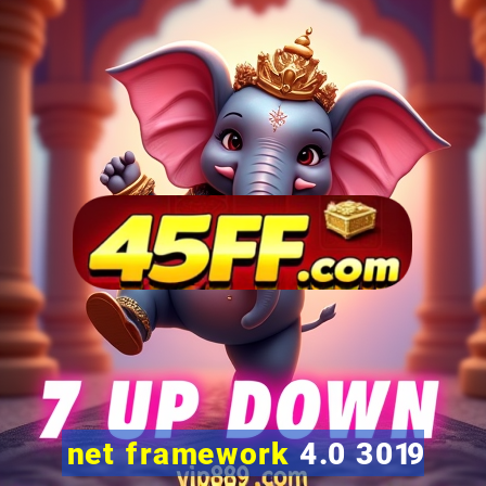 net framework 4.0 3019